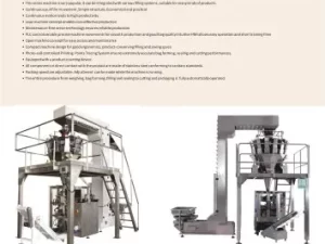 Namkeen Packing Machine